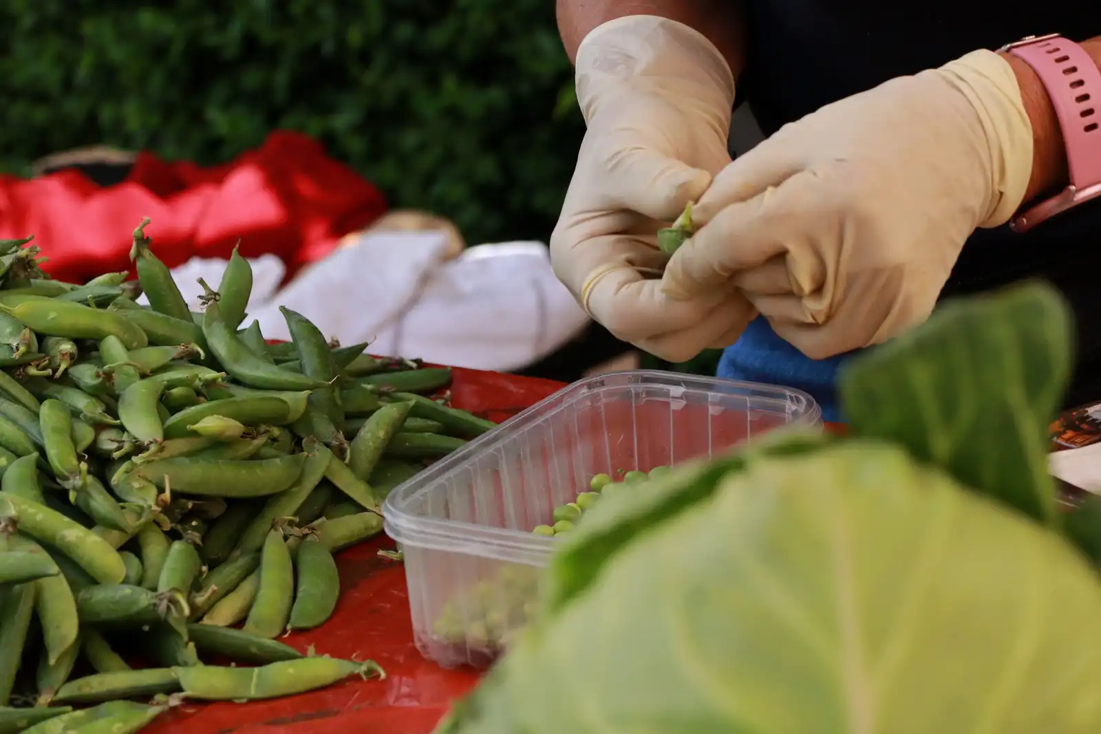 Tržnica u Prelogu (49)