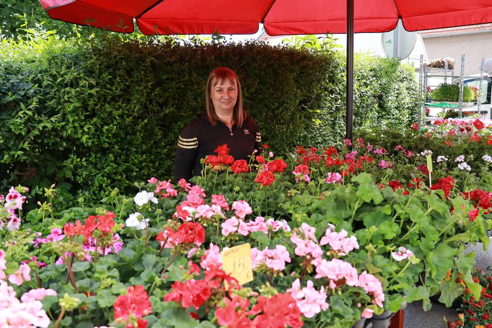 Tržnica u Prelogu (54)