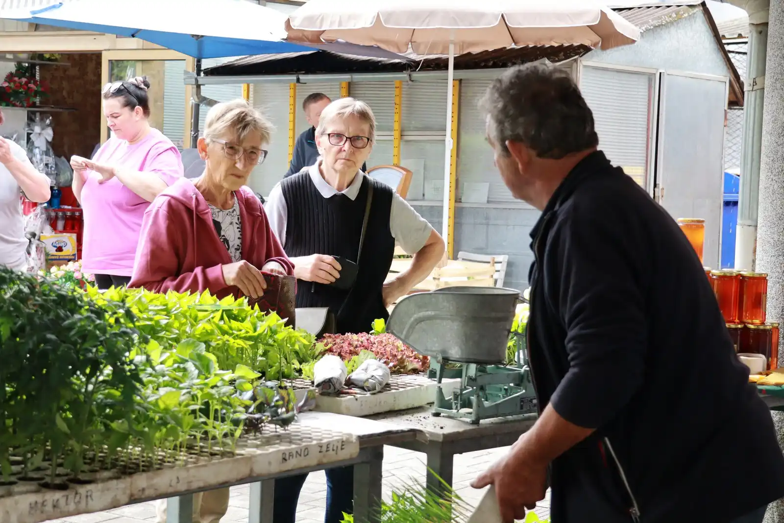 Tržnica u Prelogu (69)