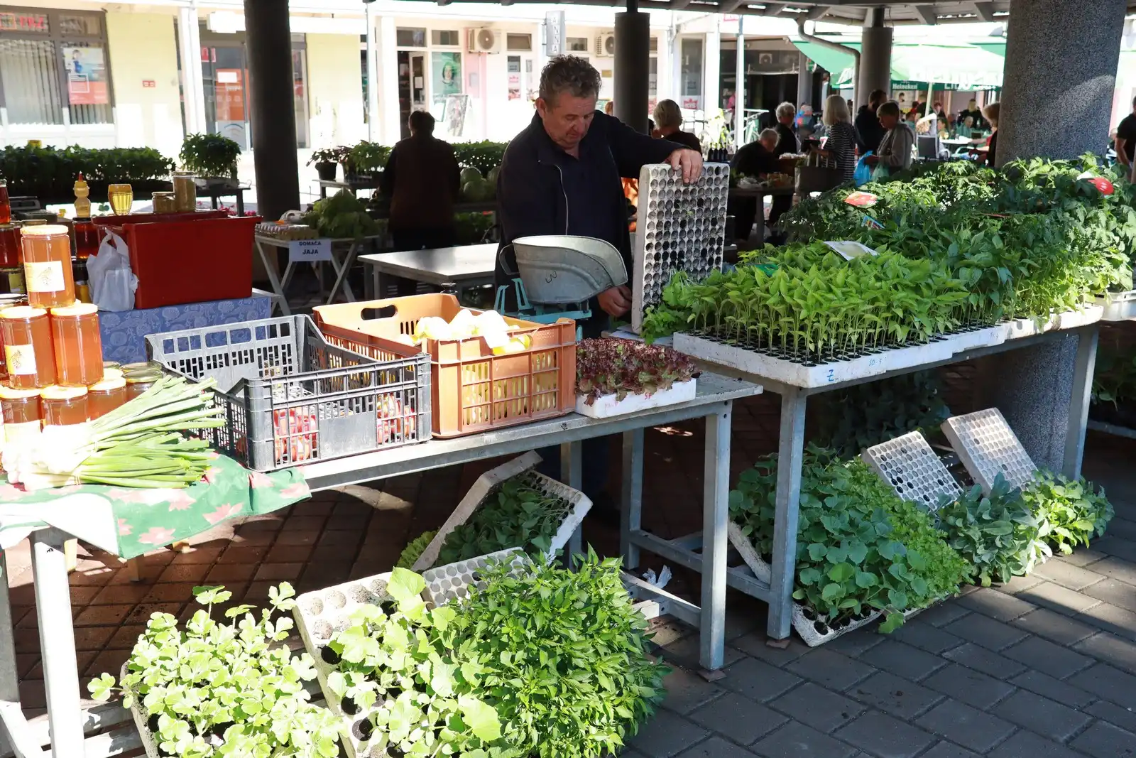 Tržnica u Prelogu (7)