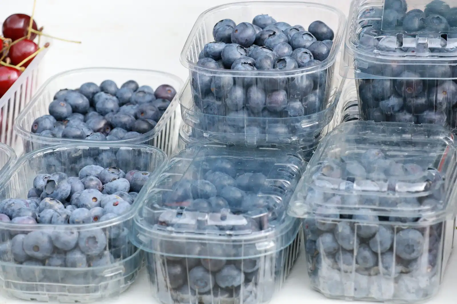 Tržnica u Prelogu (75) borovnice