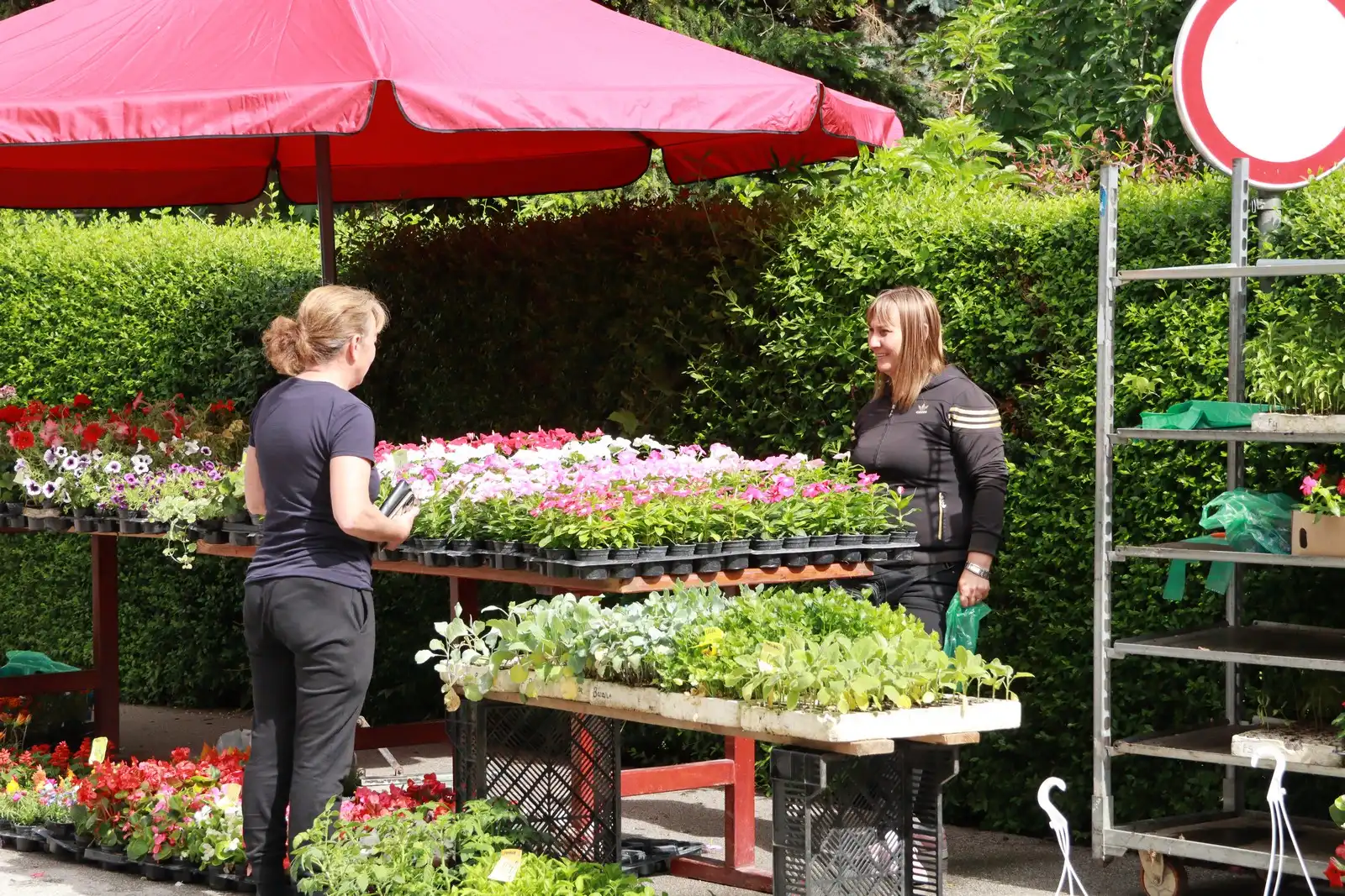 Tržnica u Prelogu (77)