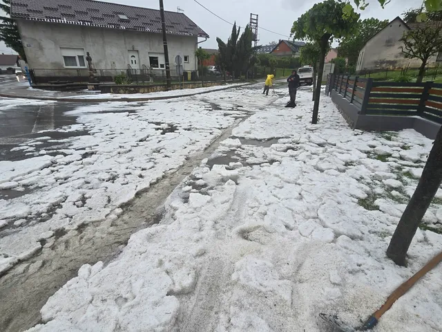 Tuča kneginec 2026 (1)