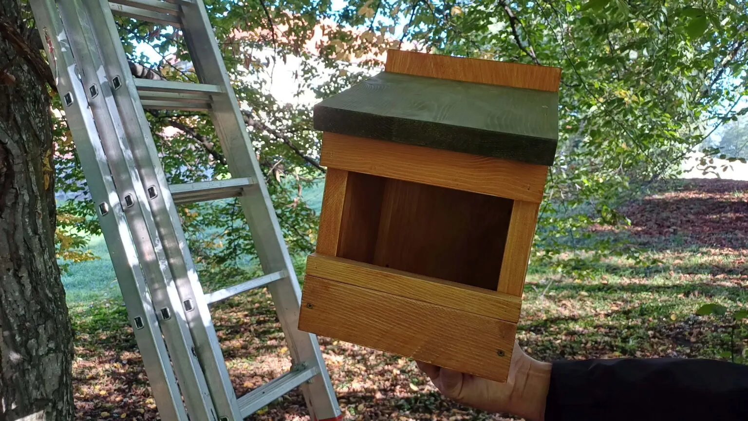 U Čakovcu postavljene hranilice za vjeverice (5)