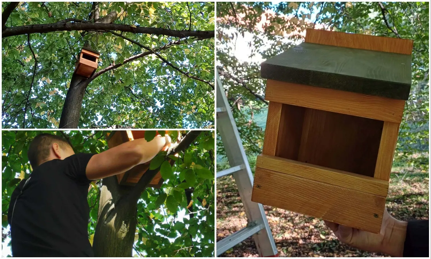 U Čakovcu postavljene hranilice za vjeverice (7)