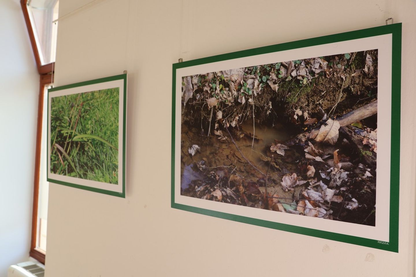 U Scheierici otvorena izložba “Matuljov peh” – pronađite skrivene životinje! (1)