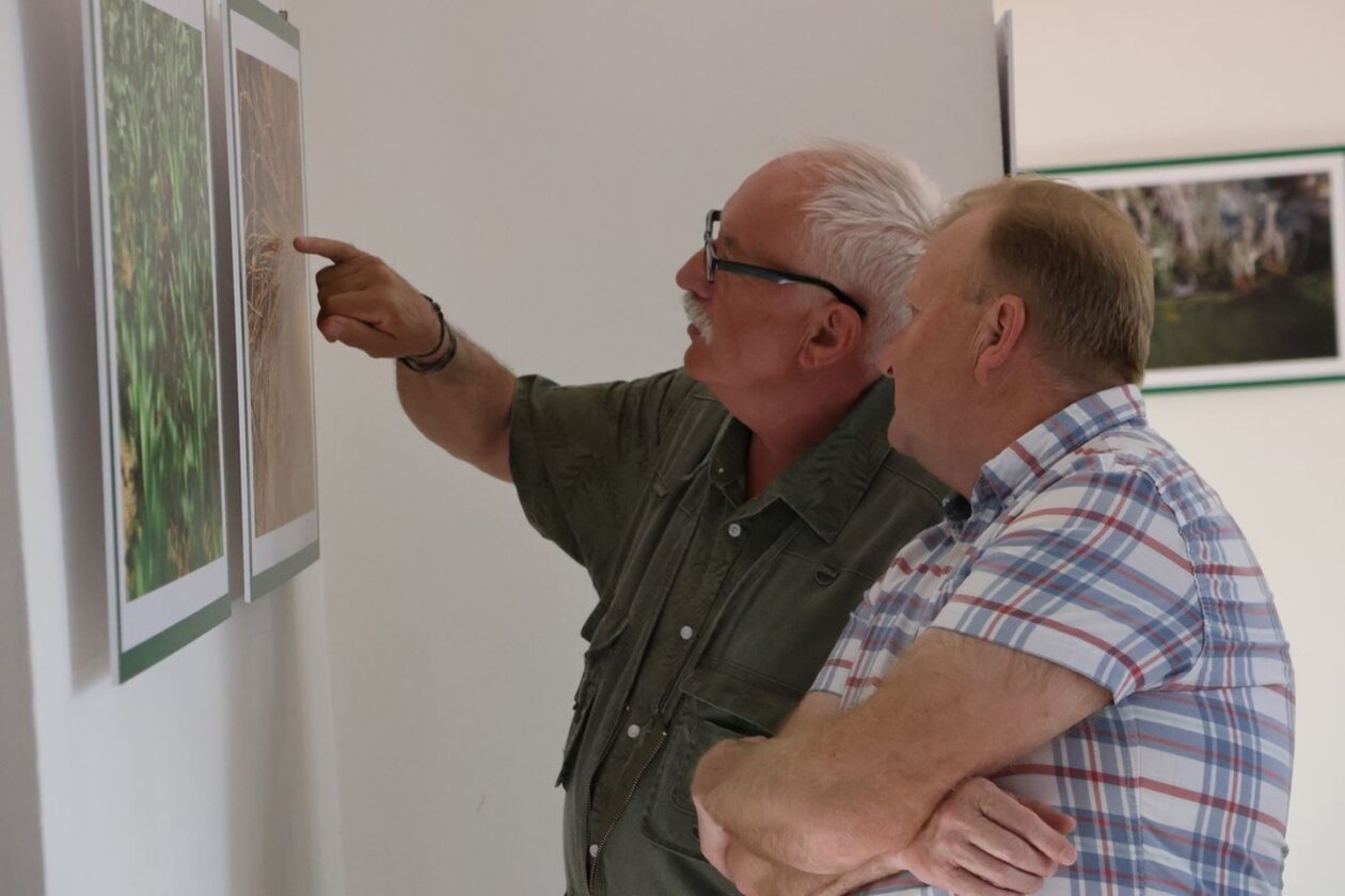 U Scheierici otvorena izložba “Matuljov peh” – pronađite skrivene životinje! (13)