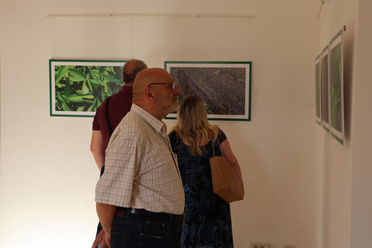 U Scheierici otvorena izložba “Matuljov peh” – pronađite skrivene životinje! (2)