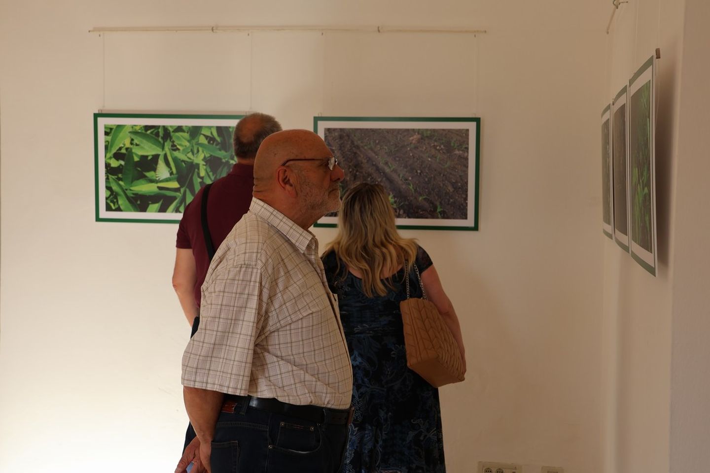 U Scheierici otvorena izložba “Matuljov peh” – pronađite skrivene životinje! (2)