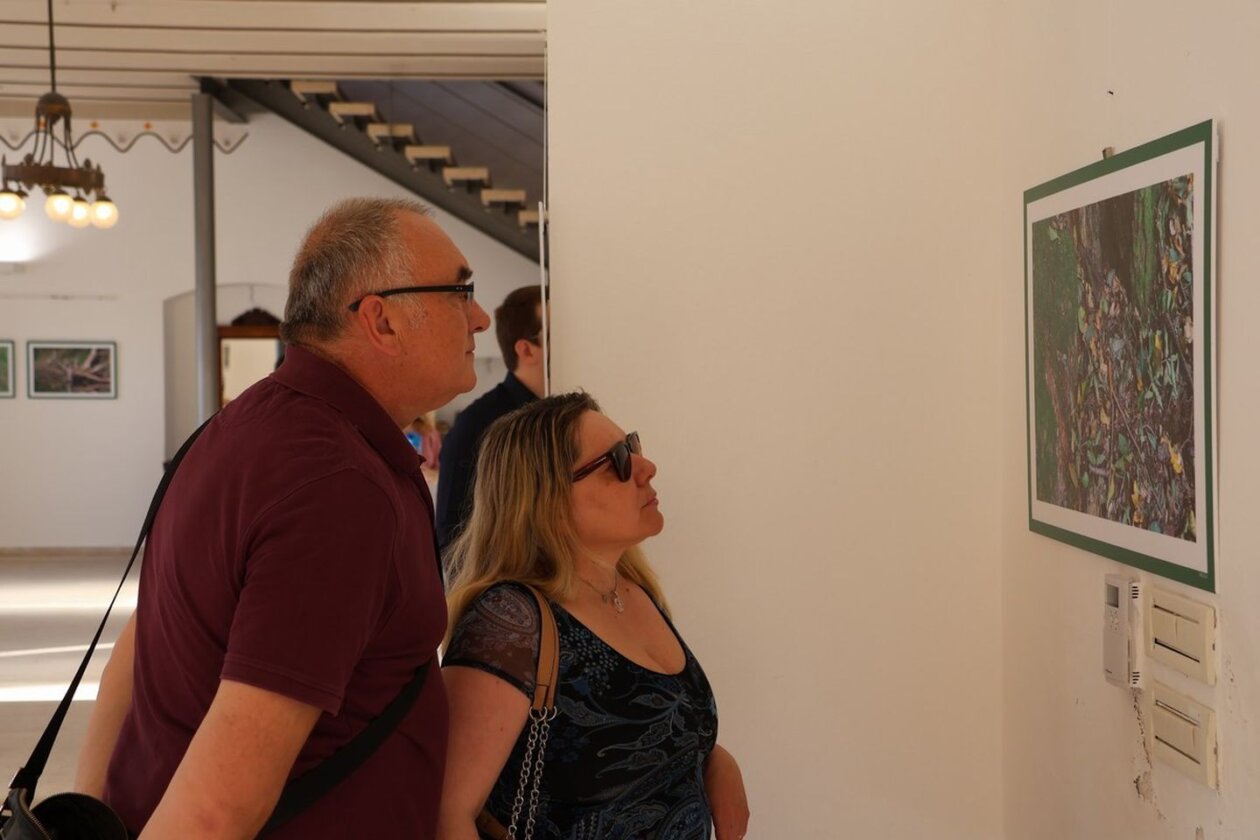 U Scheierici otvorena izložba “Matuljov peh” – pronađite skrivene životinje! (4)