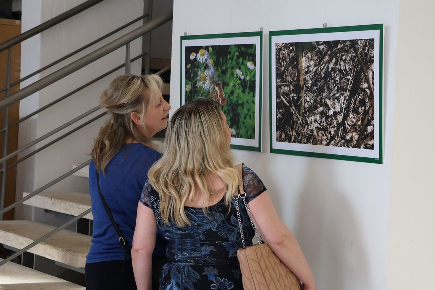U Scheierici otvorena izložba “Matuljov peh” – pronađite skrivene životinje! (8)