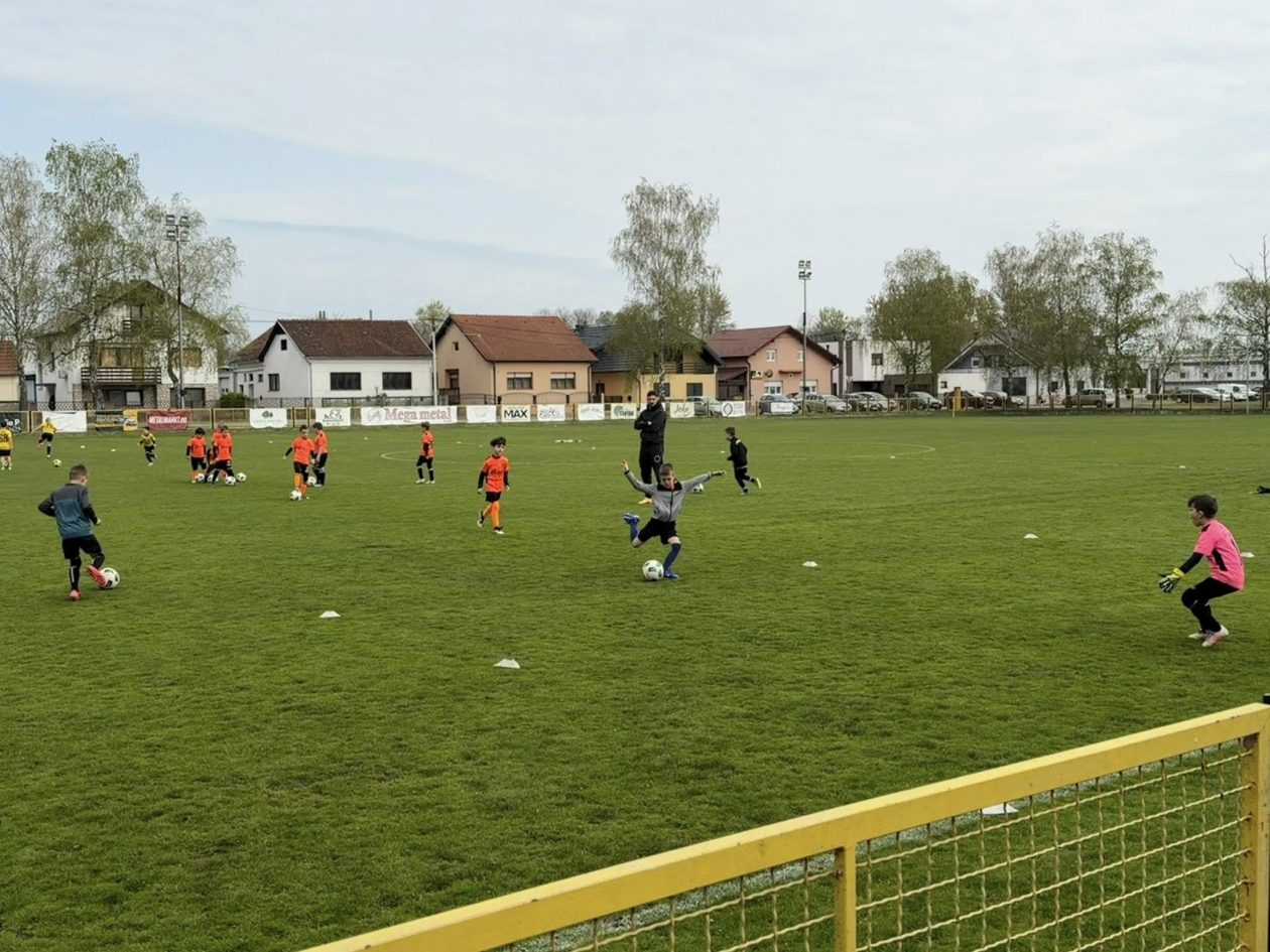 U8 Dinamo-Zelenko-Bat (8) U8 Dinamo-Zelenko-Bat (8)