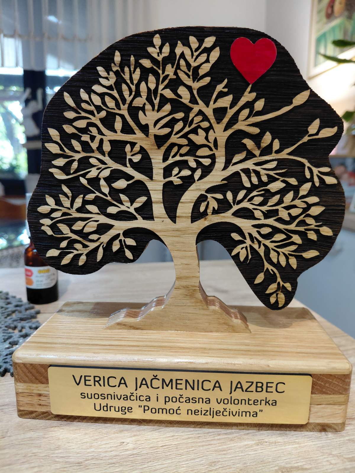 UDRUGA ‘POMOĆ NEIZLJEČIVIMA’ (1)