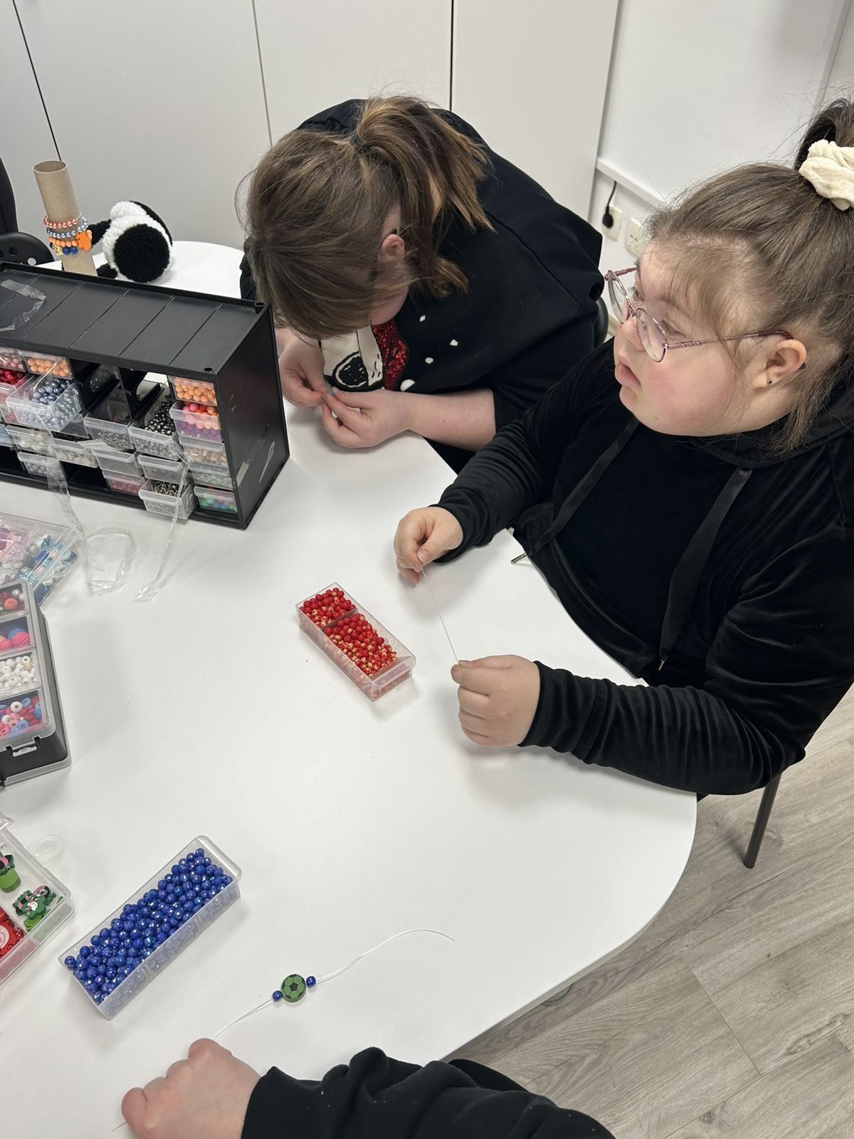 UDRUGA ZA SINDROM DOWN MŽ (10)