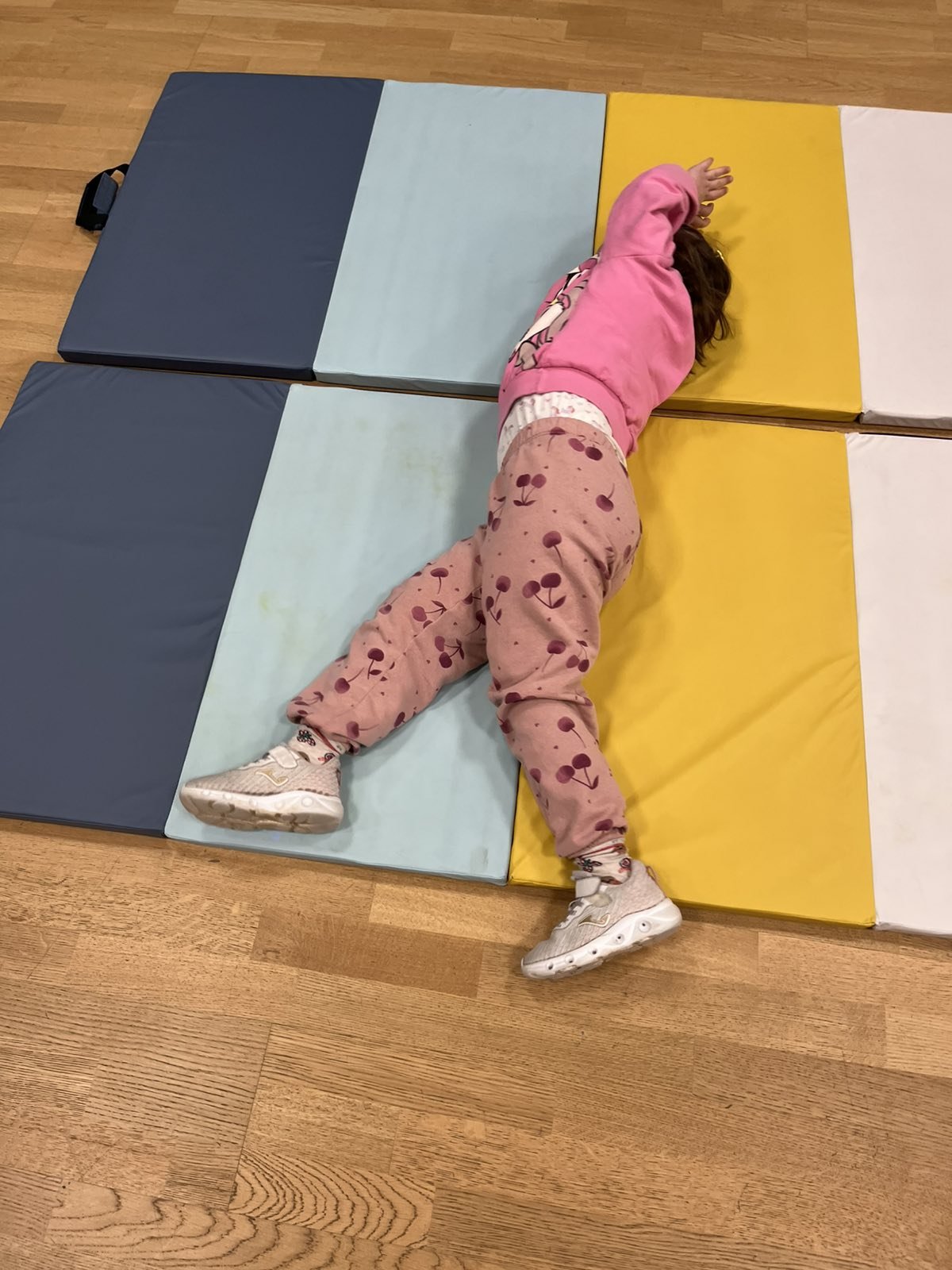 UDRUGA ZA SINDROM DOWN MŽ (19)