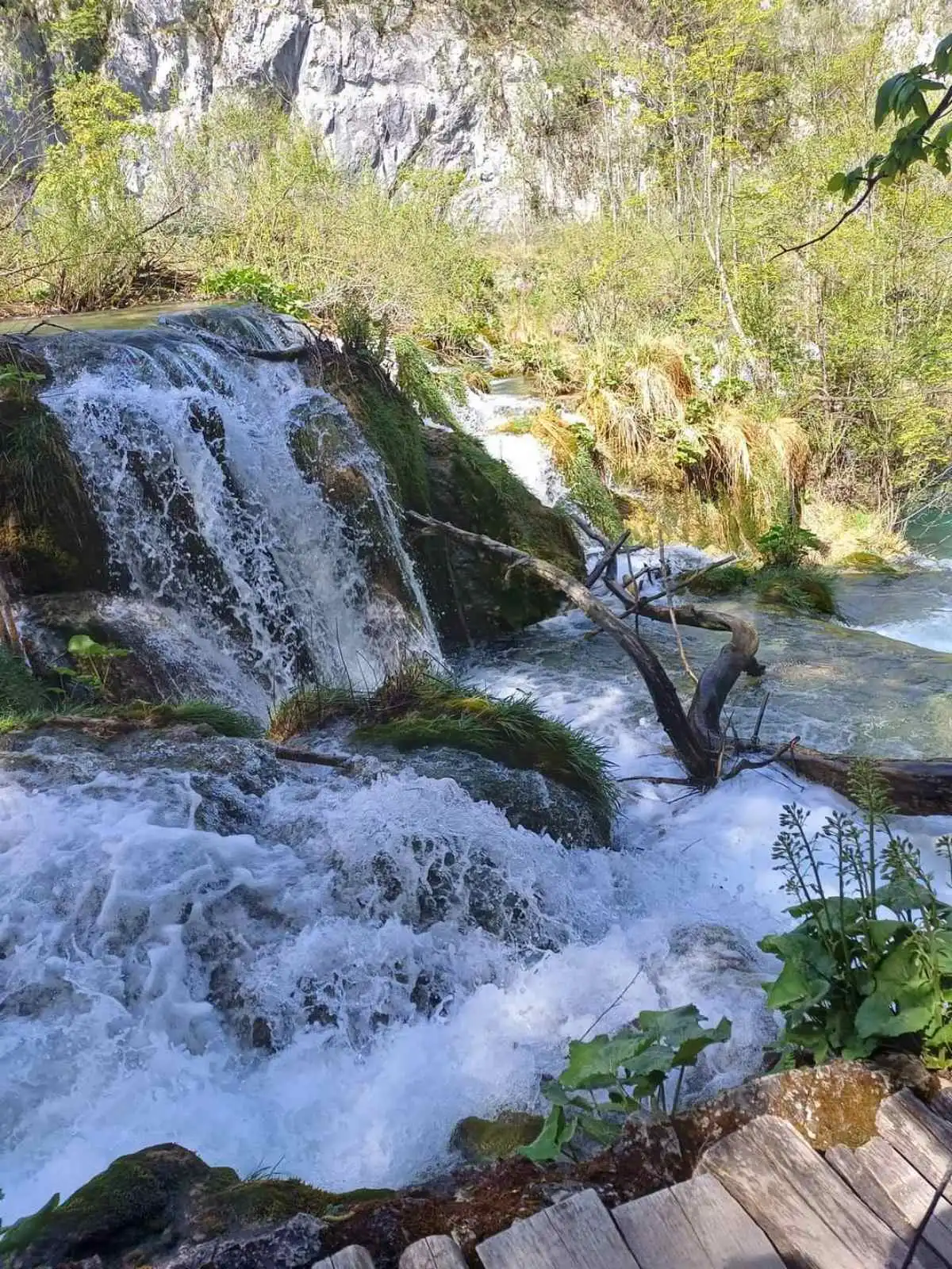 UDVDR Strahoninec (2) UDVDR Strahoninec (2)