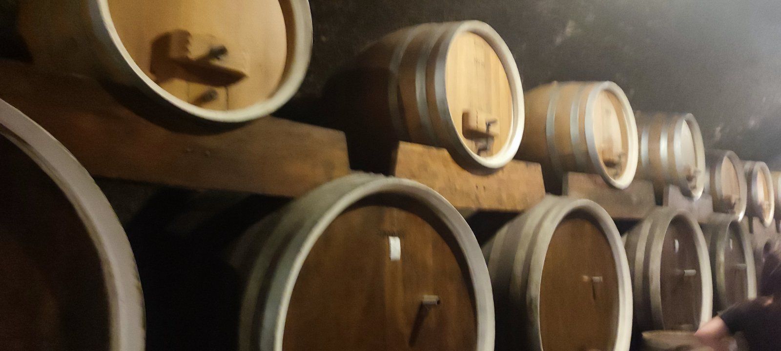 UDVDR Strahoninec Vukovar