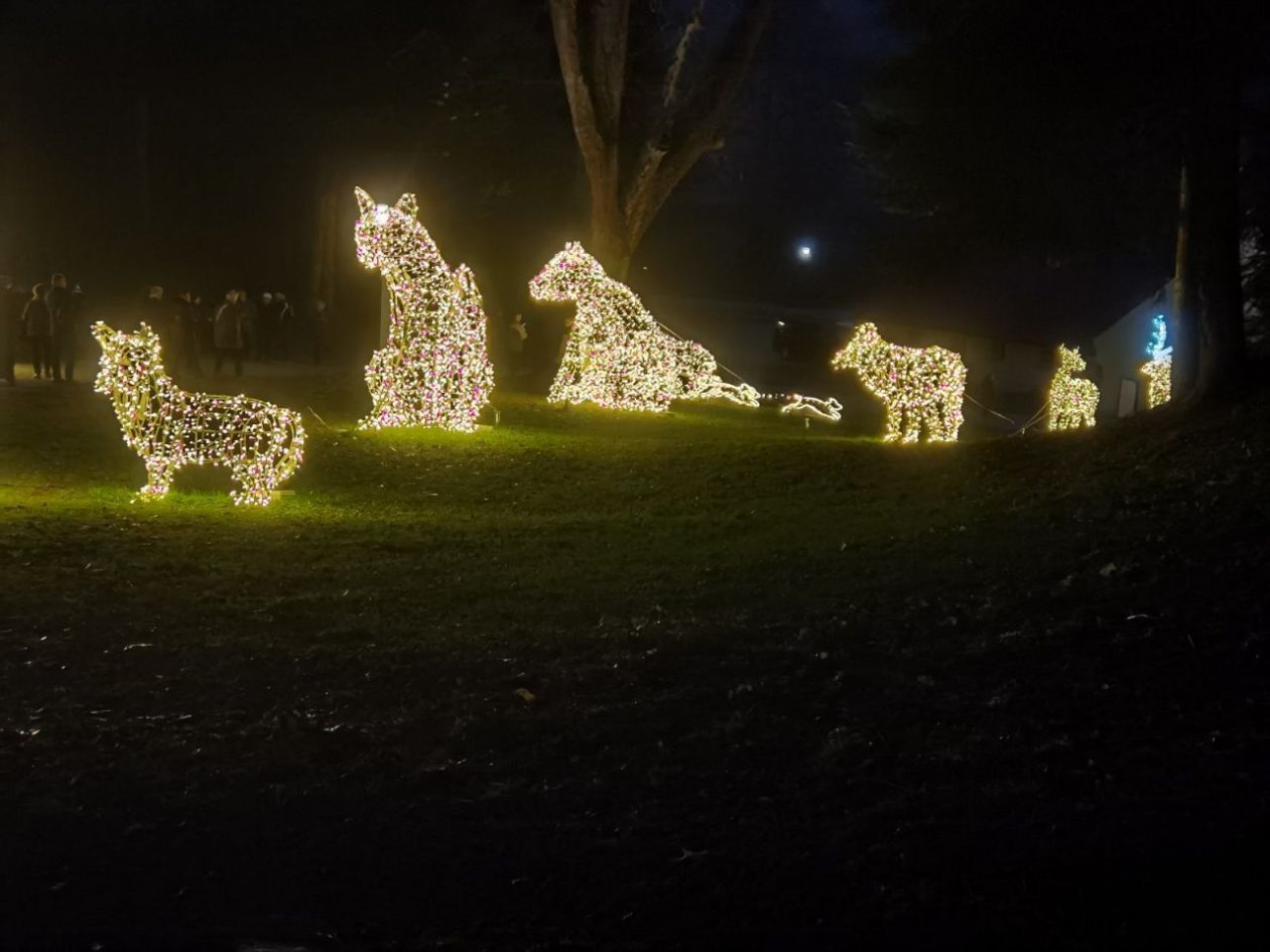 UGODNO DRUŽENJE Adventski izlet Podružnice umirovljenika Palovec u dvor Trakošćan (9) UGODNO DRUŽENJE Adventski izlet Podružnice umirovljenika Palovec u dvor Trakošćan (9)
