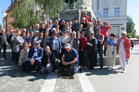 UMIROVLJENICI MALE SUBOTICE