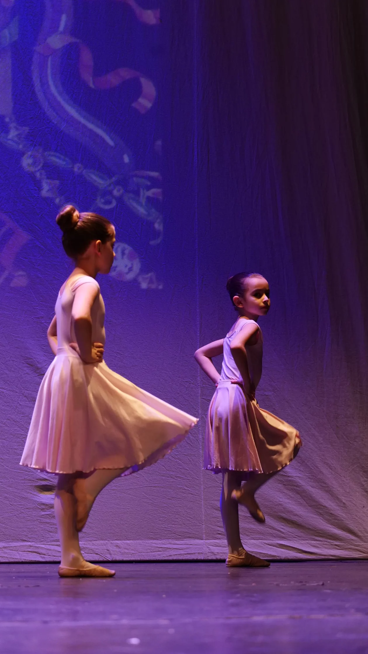 UMJETNIČKA ŠKOLA M. MAGDALENIĆ Fašnički koncert (3)