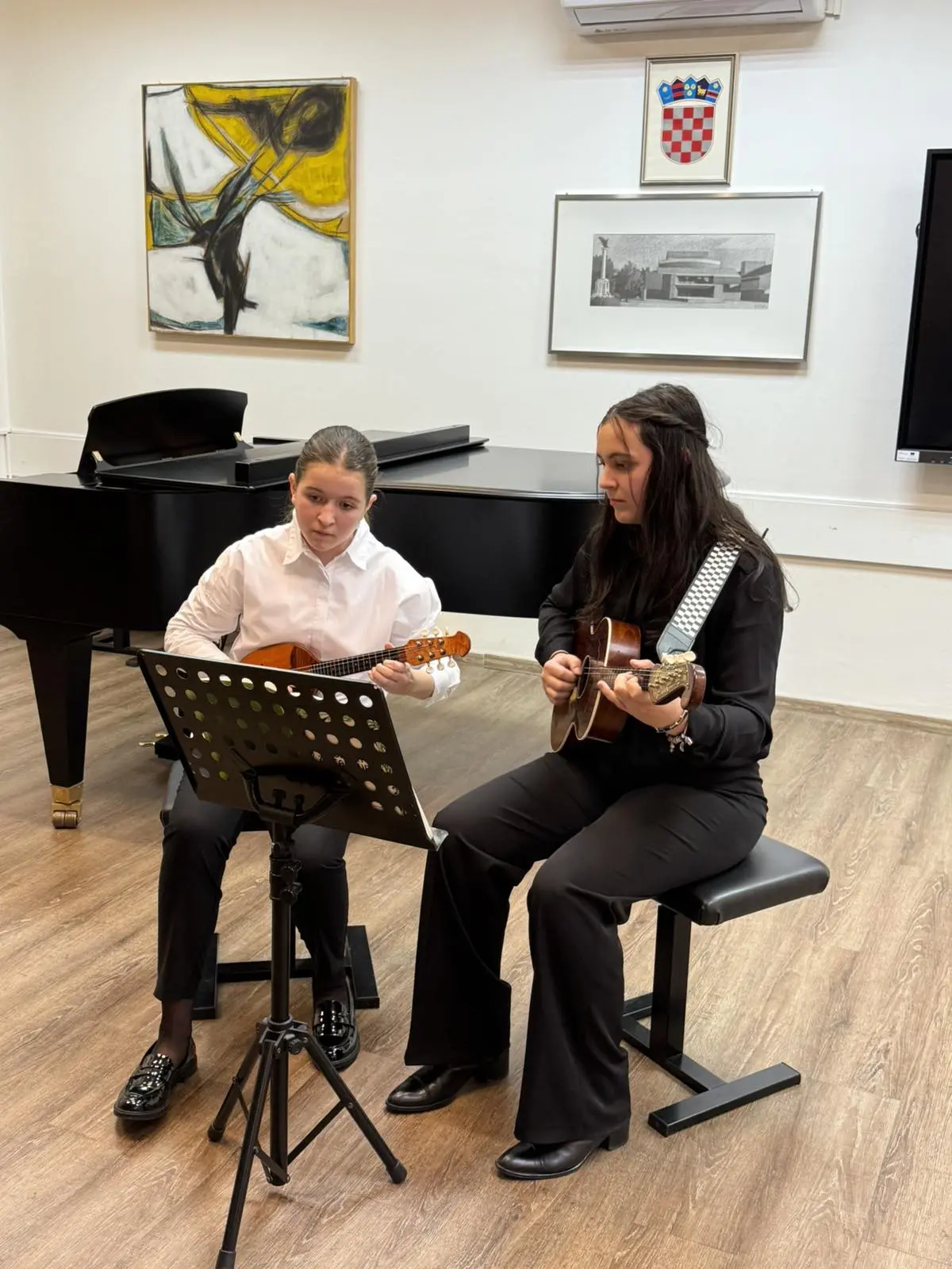 UMJETNIČKA ŠKOLA Miroslav Magdalenić (9)