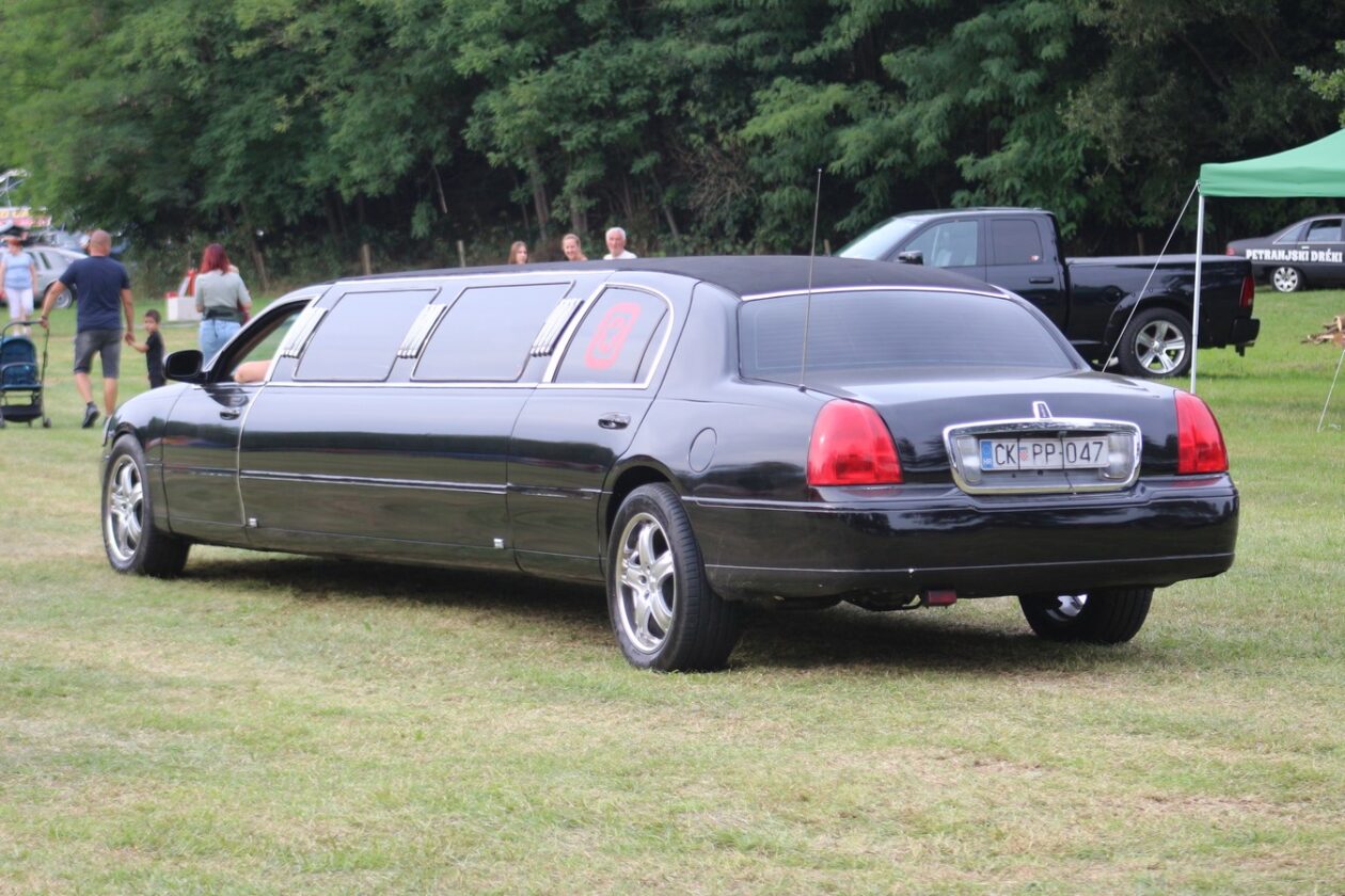 US Car Picnic 2025 (119)