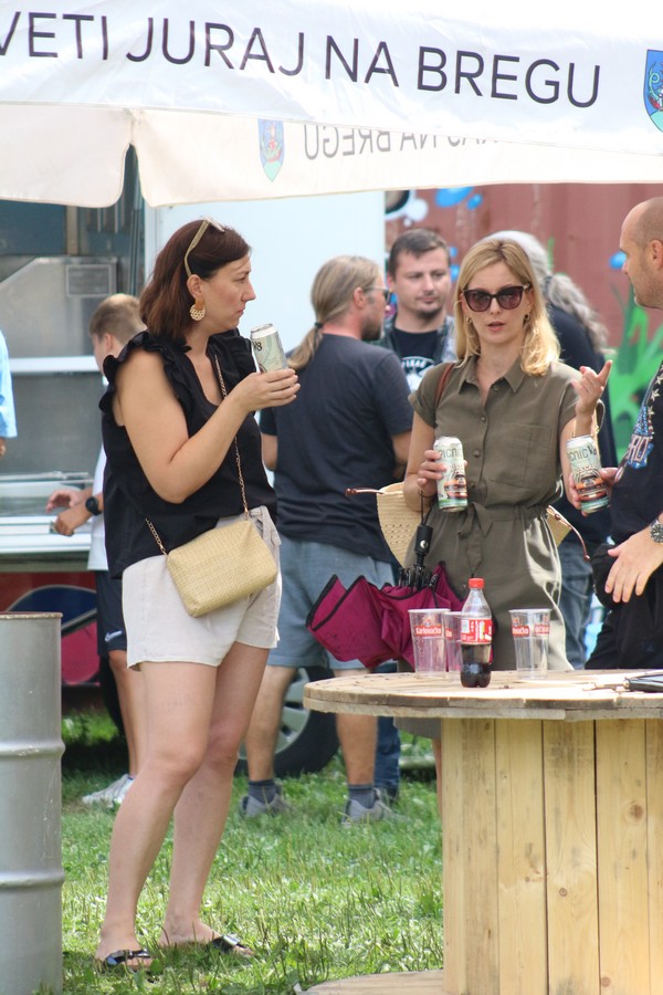 US Car Picnic 2025 (12) US Car Picnic 2025 (12)