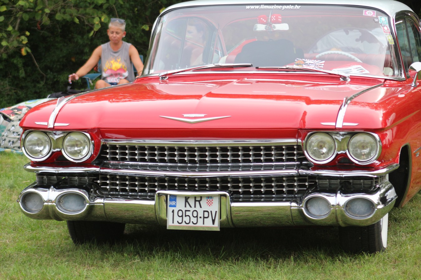 US Car Picnic 2025 (122) US Car Picnic 2025 (122)