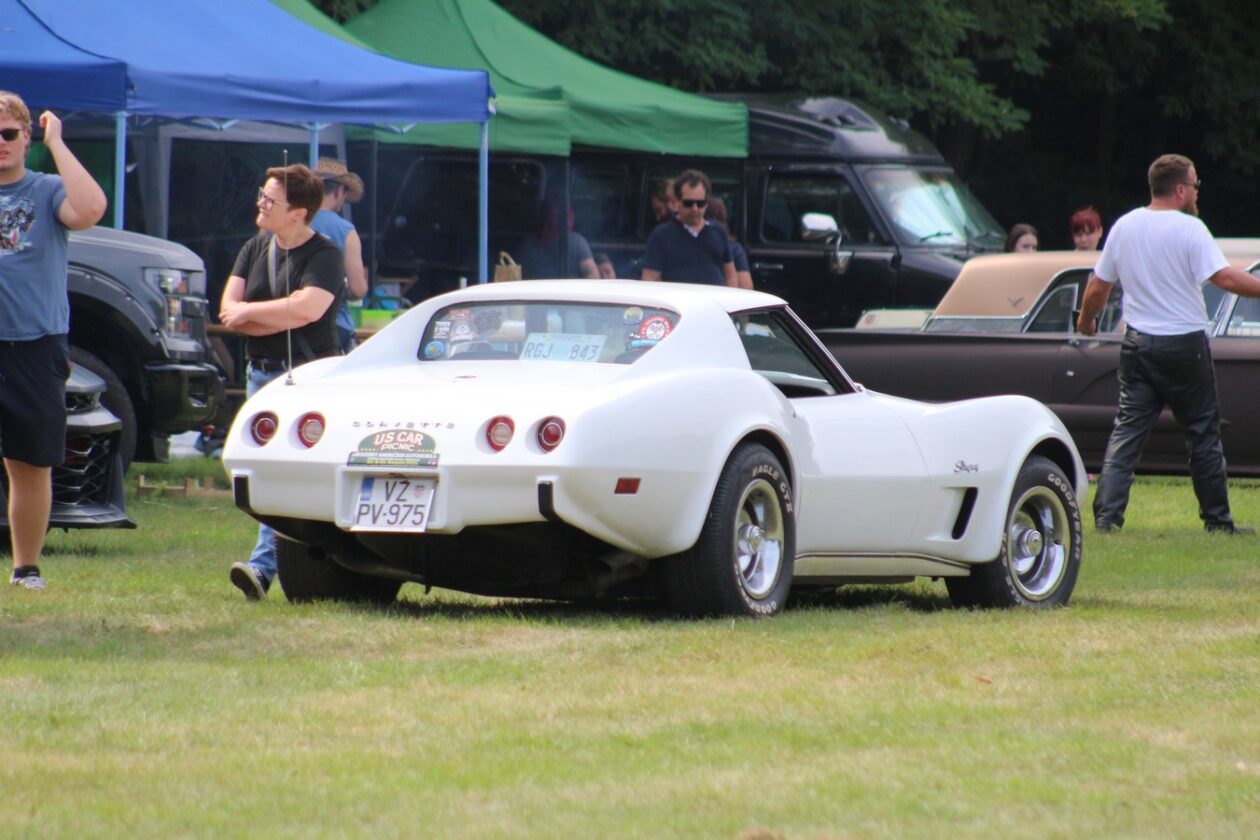 US Car Picnic 2025 (35)