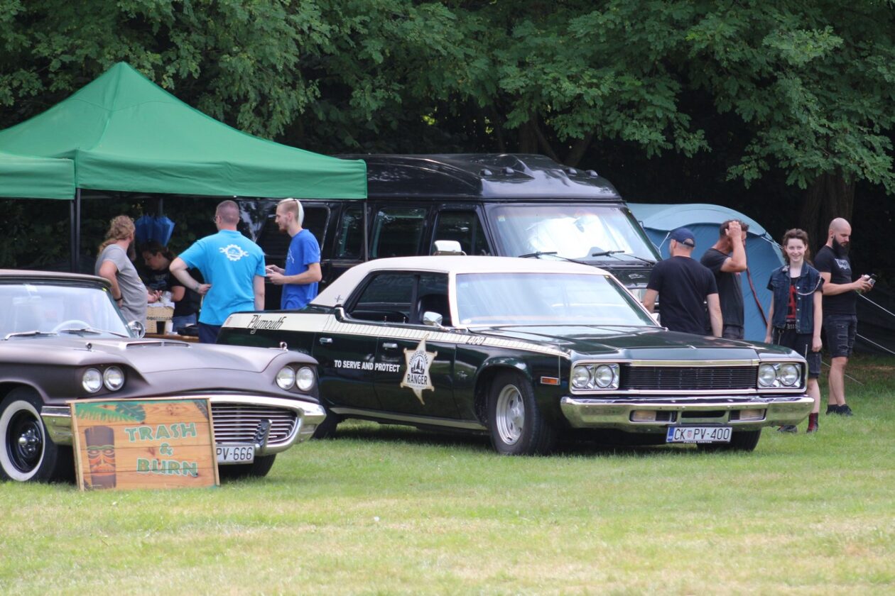 US Car Picnic 2025 (39)