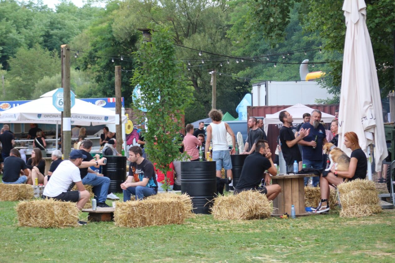 US Car Picnic 2025 (42)