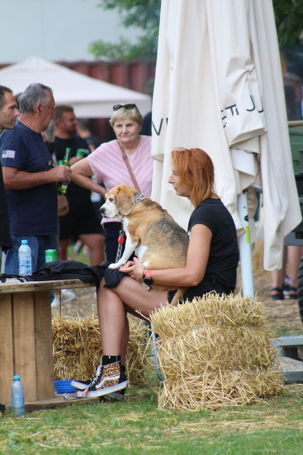 US Car Picnic 2025 (44) US Car Picnic 2025 (44)