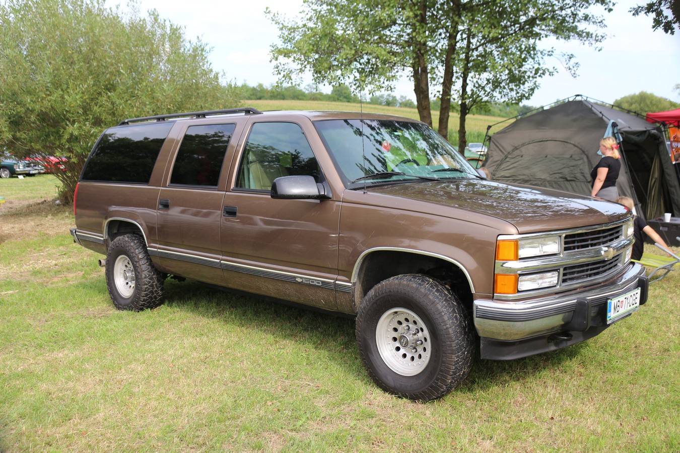 US Car Picnic 2025 (55) US Car Picnic 2025 (55)