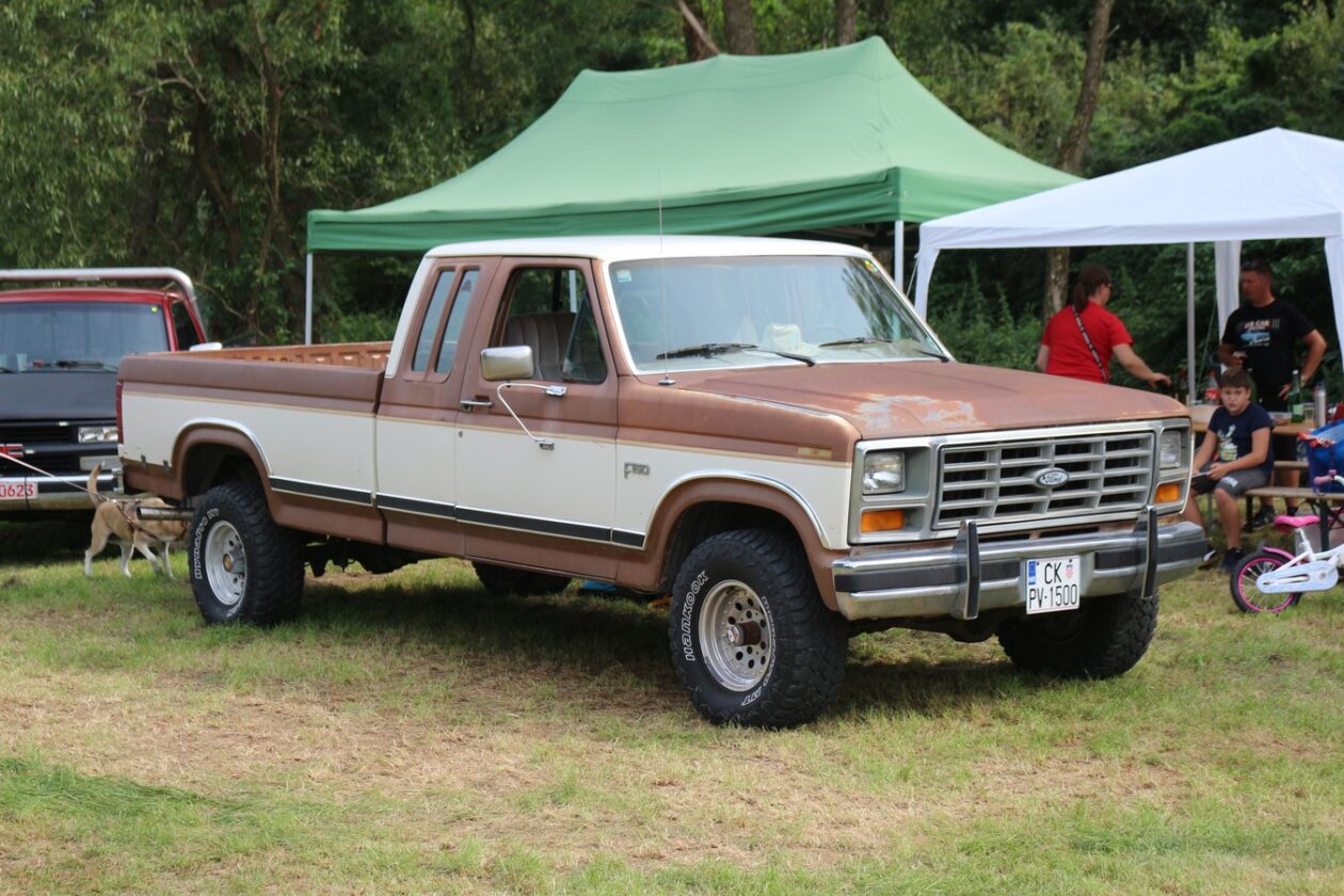 US Car Picnic 2025 (56)
