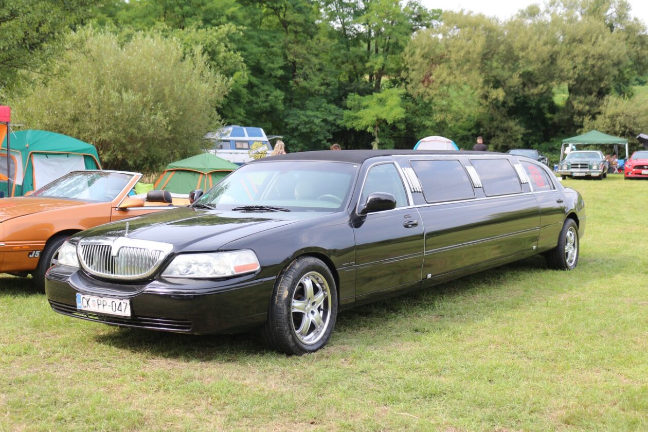 US Car Picnic 2025 (58)