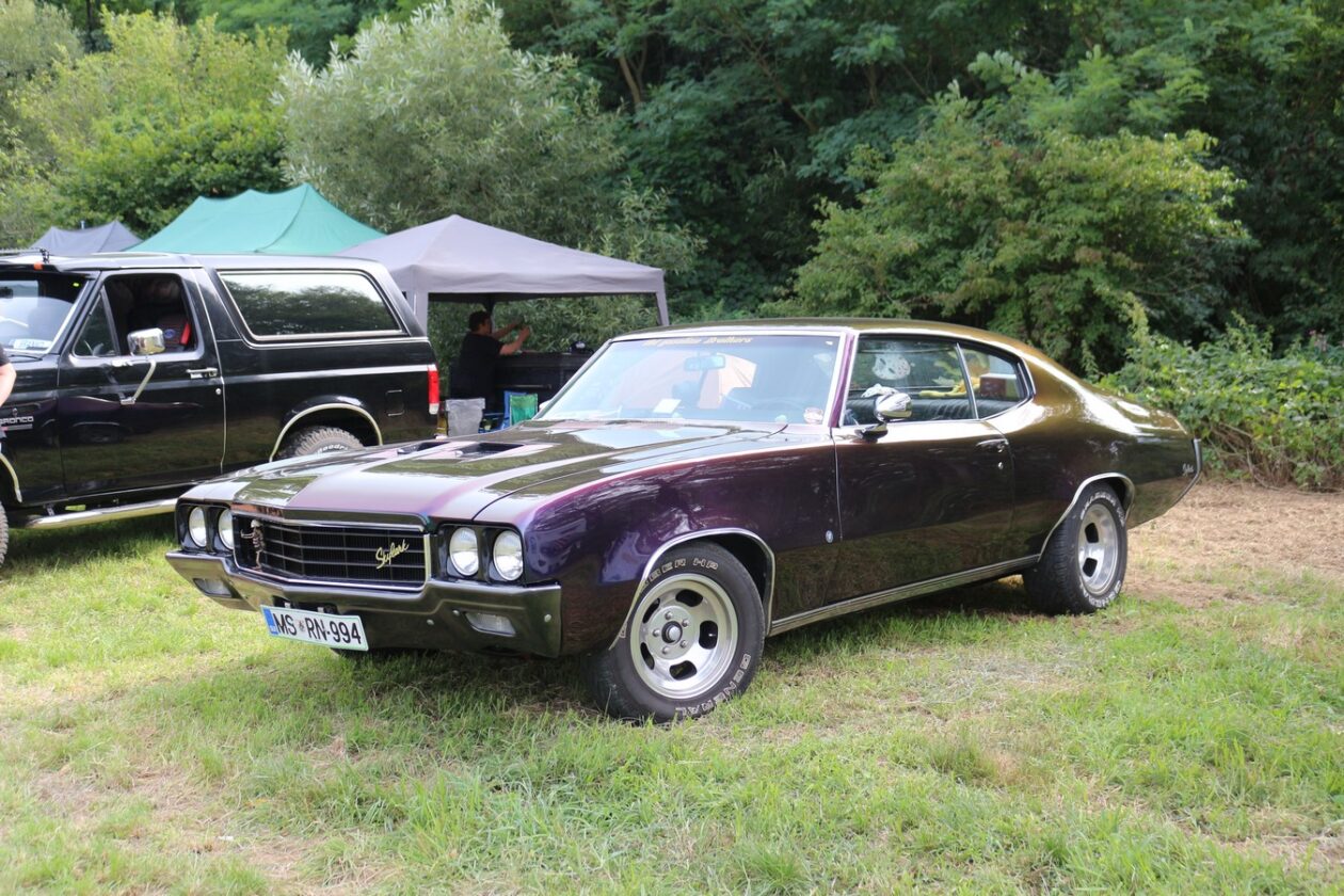 US Car Picnic 2025 (59)