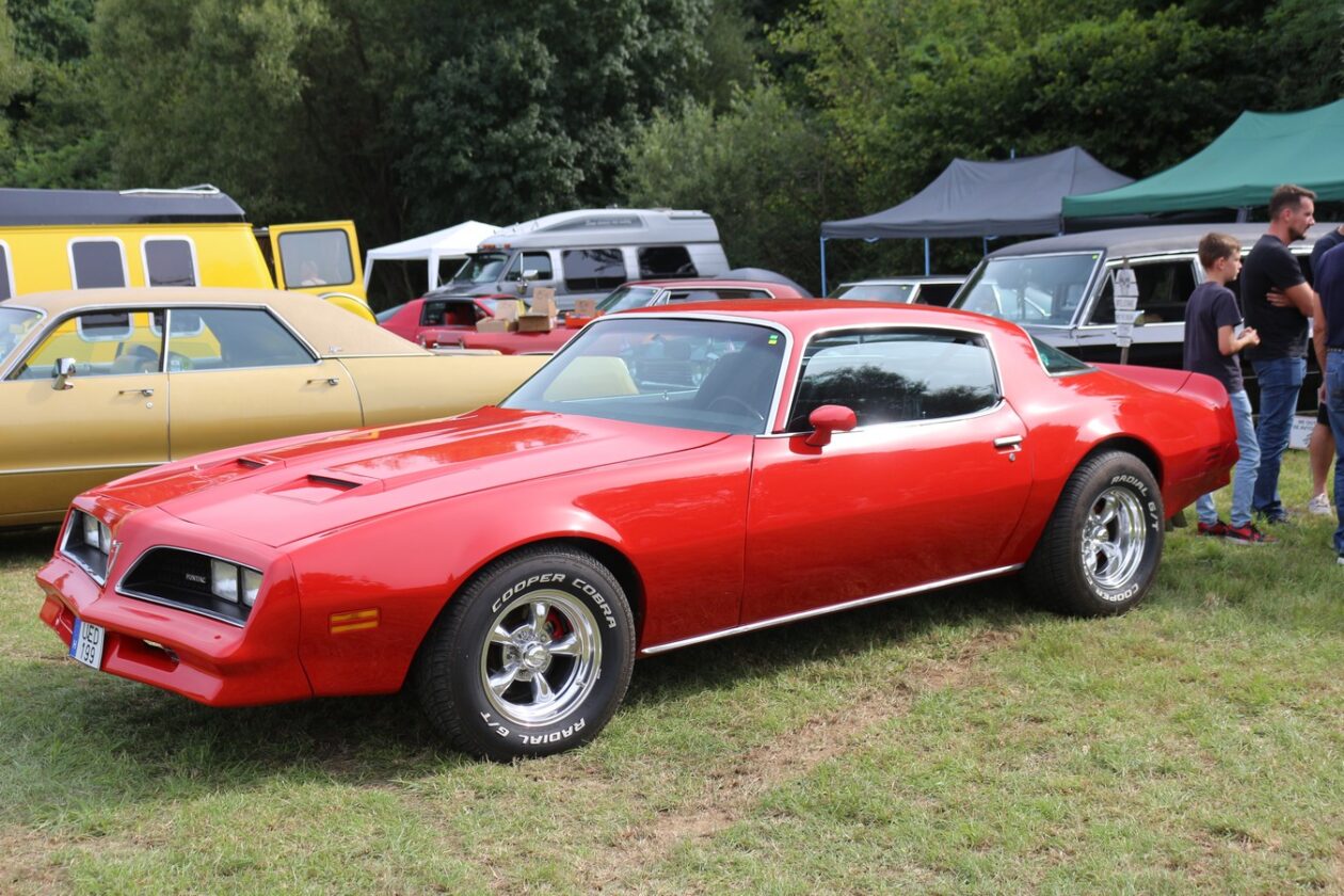 US Car Picnic 2025 (61)