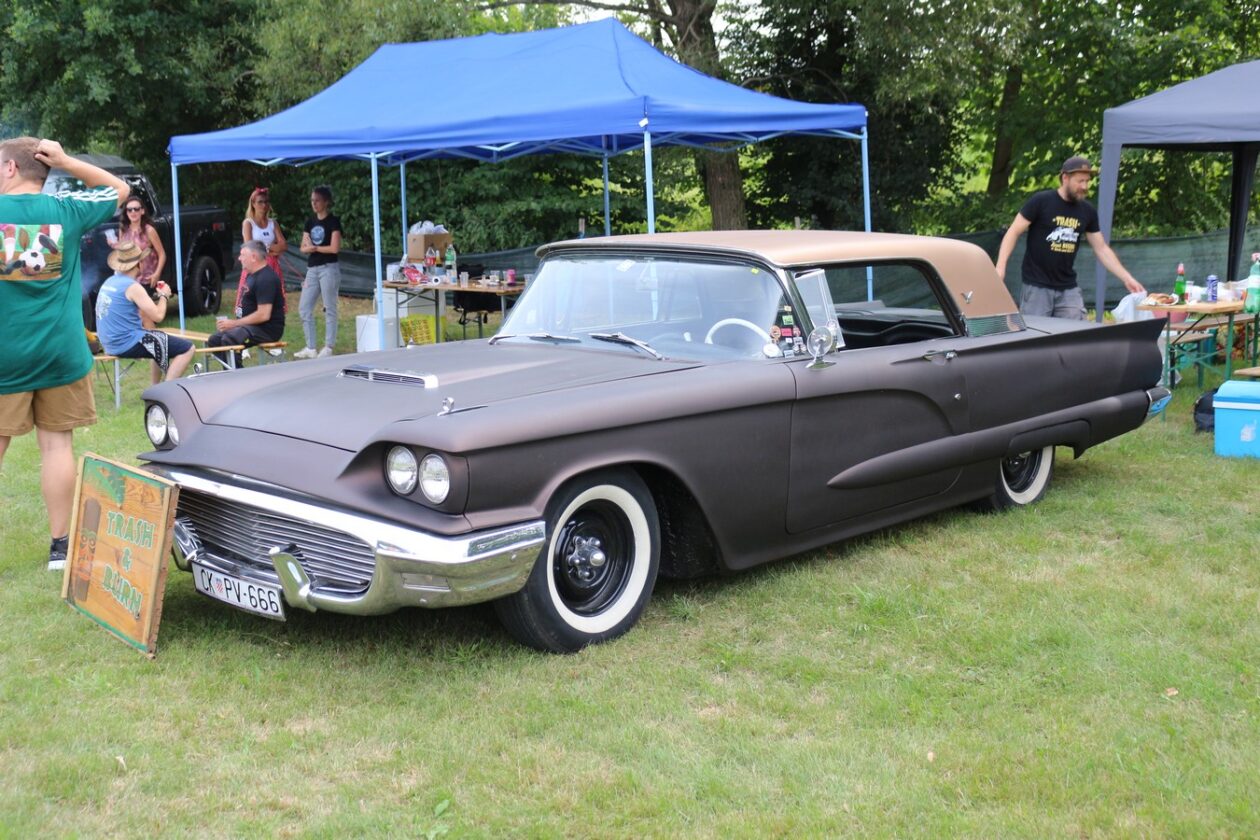 US Car Picnic 2025 (65)