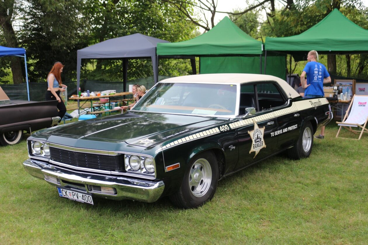 US Car Picnic 2025 (66)