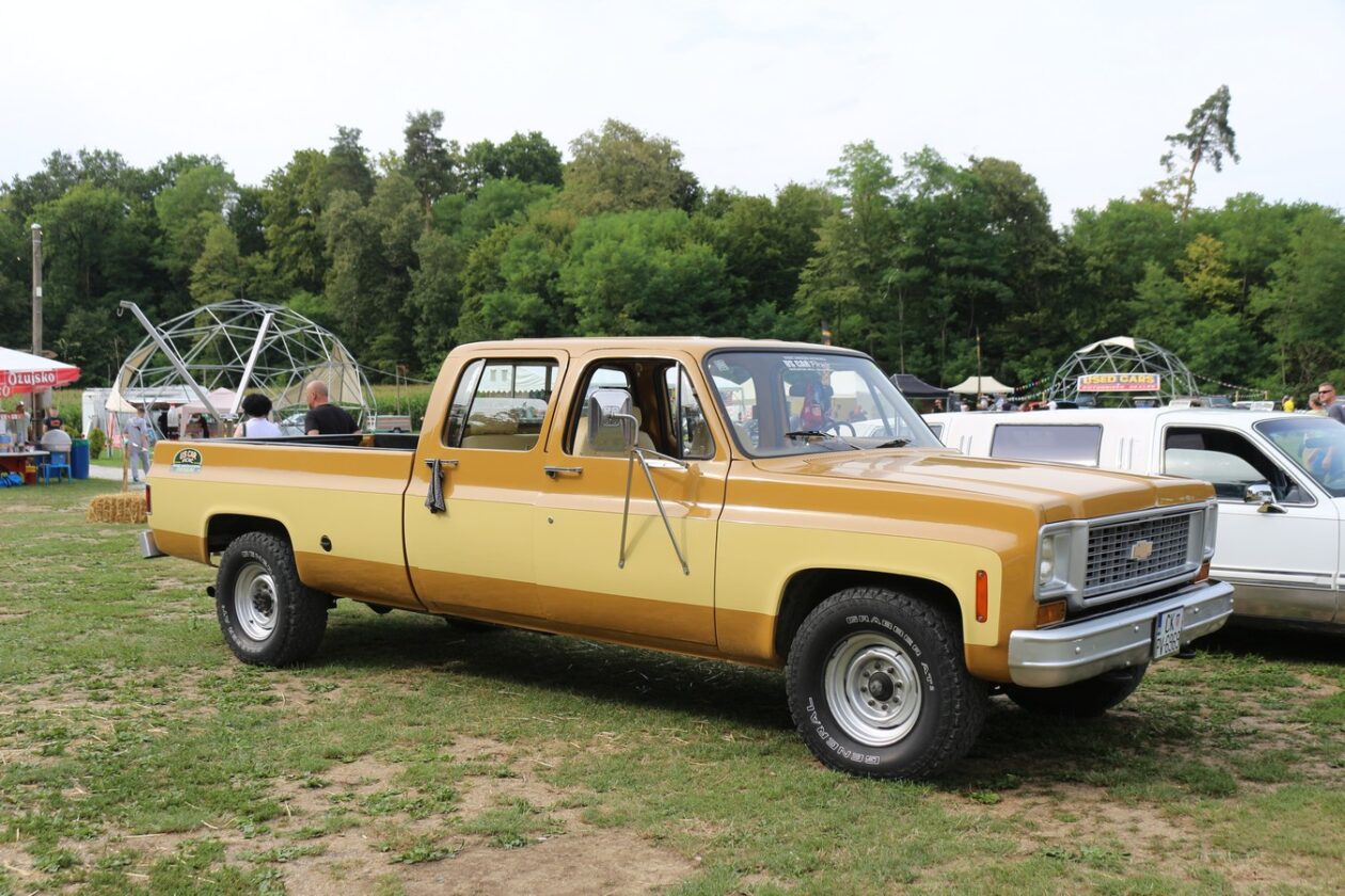 US Car Picnic 2025 (70)