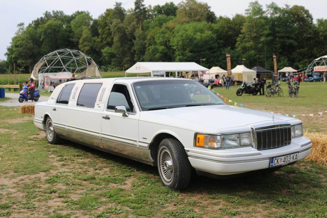 US Car Picnic 2025 (72)