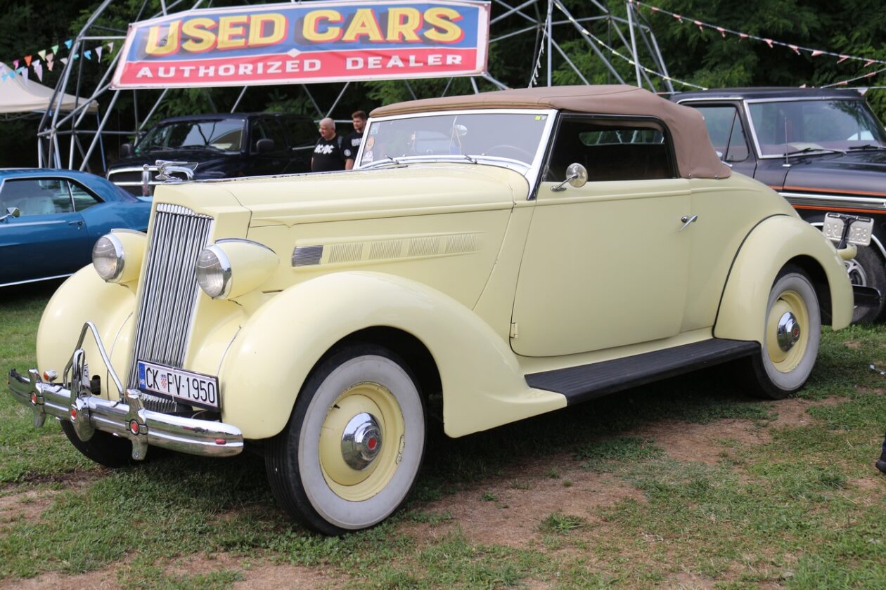 US Car Picnic 2025 (78)