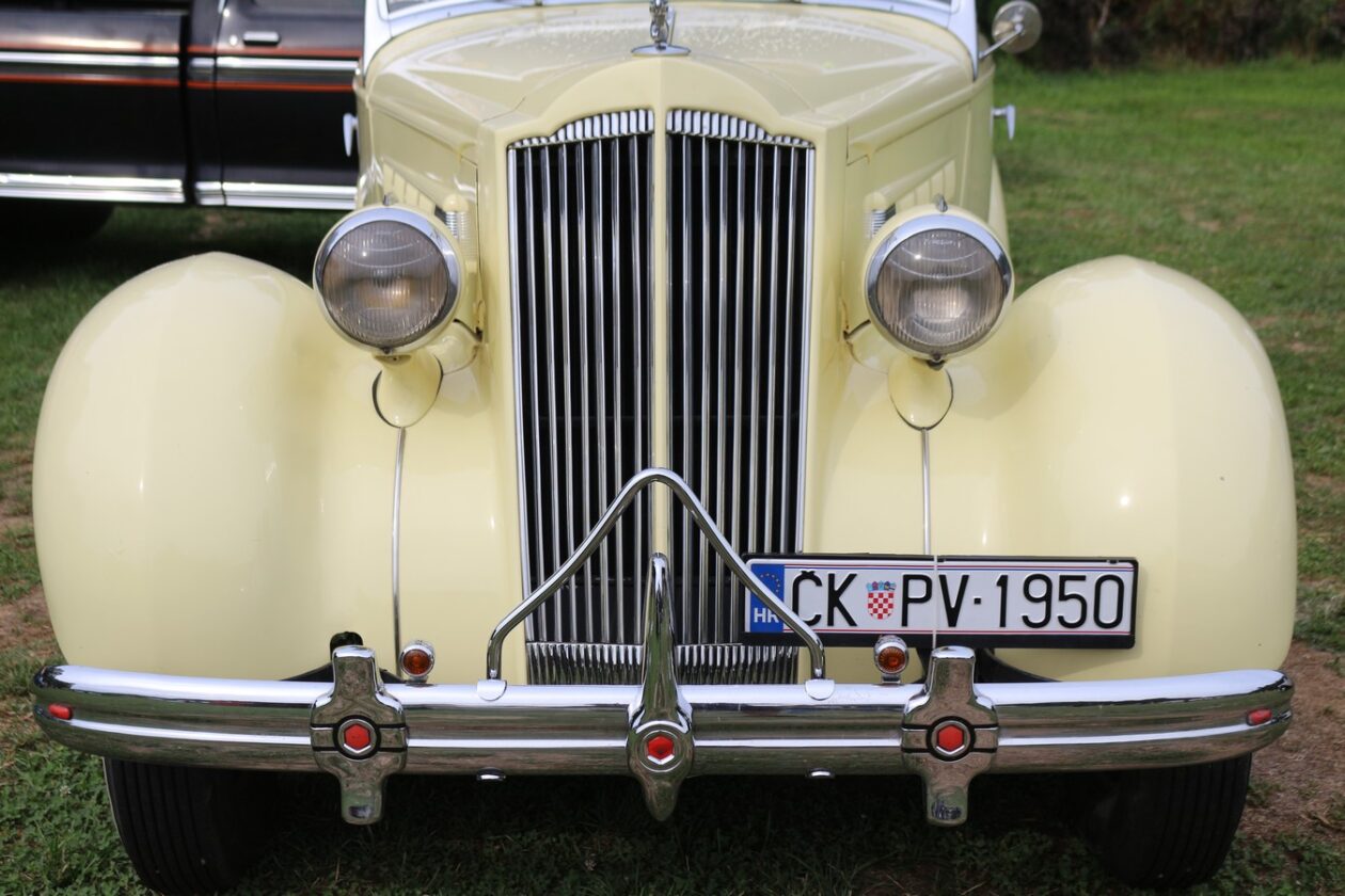 US Car Picnic 2025 (80)