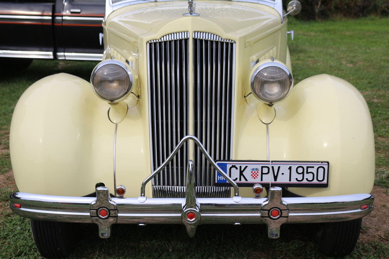 US Car Picnic 2025 (80) US Car Picnic 2025 (80)