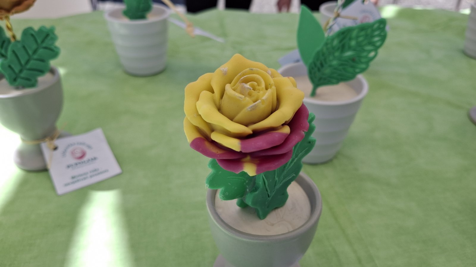 UZ PUPOLJAK, DONJA DUBRAVA (7) UZ PUPOLJAK, DONJA DUBRAVA (7)