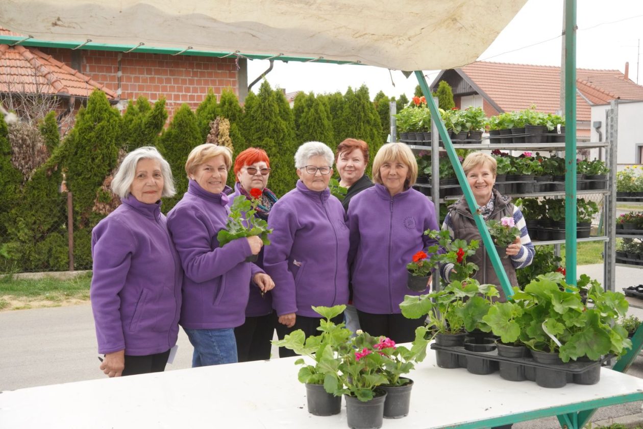 UŽ Pretetinec sajam cvijeća (1)