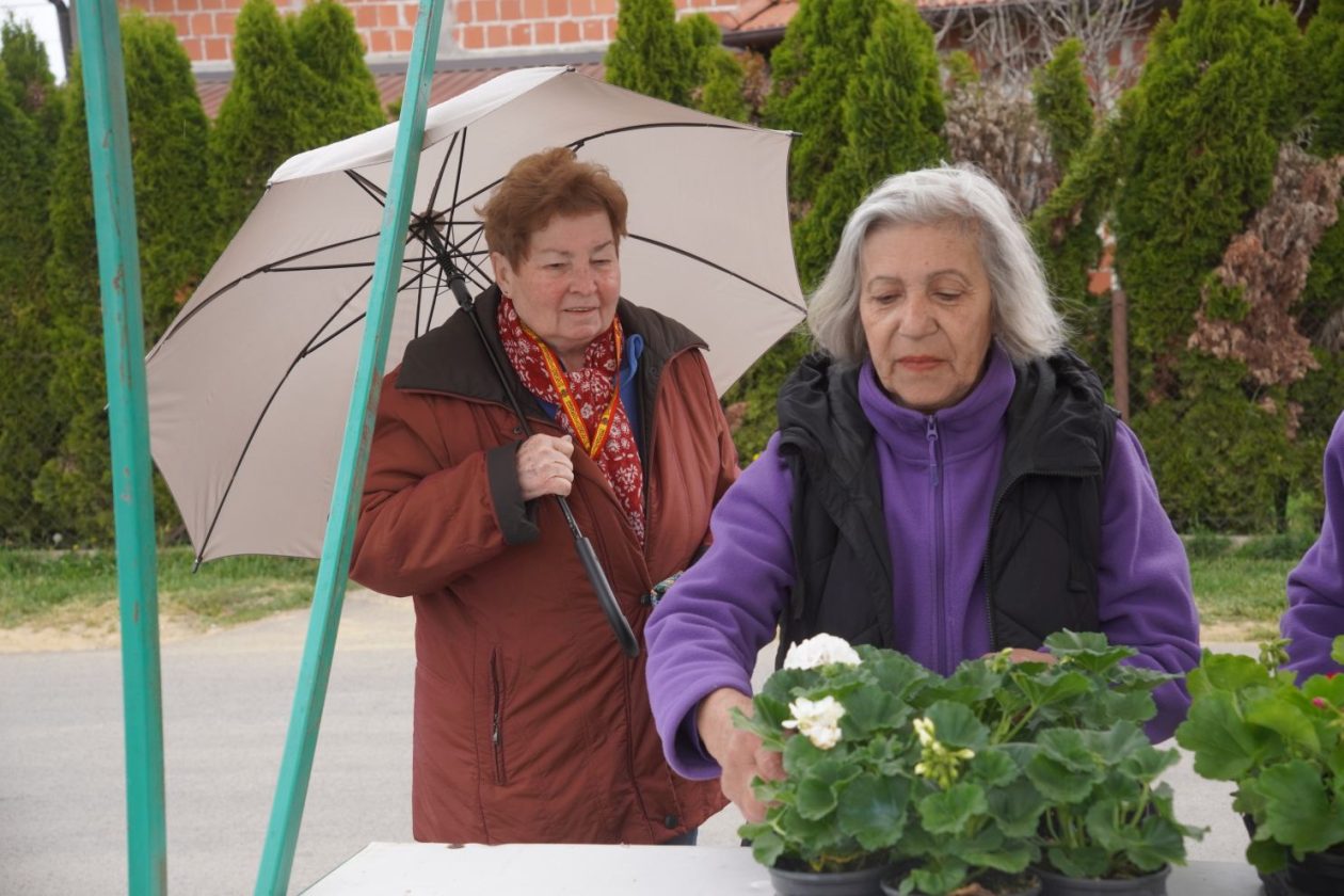UŽ Pretetinec sajam cvijeća (20)