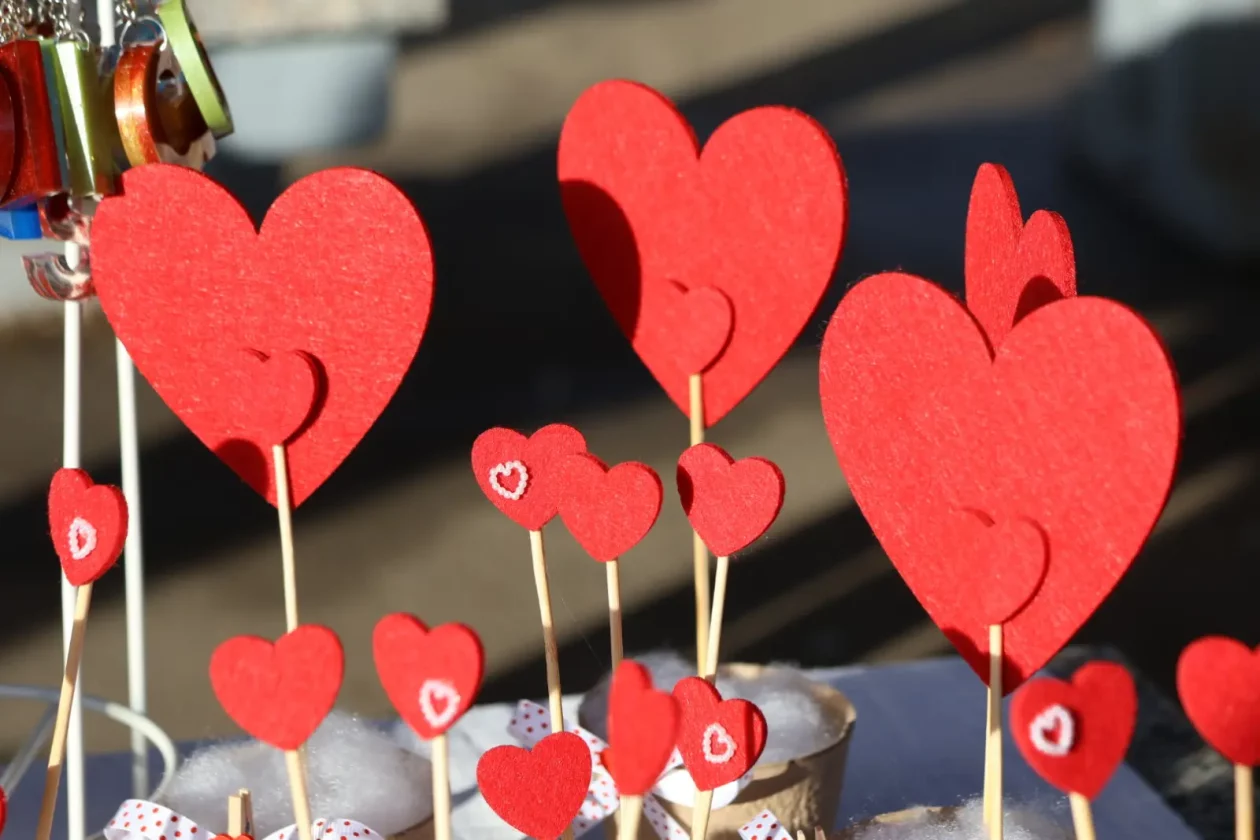 Učenička zadruga Pupoljak Donja Dubrava Valentinovo (10)
