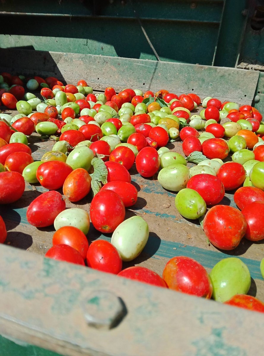 Udruga-Crleno-srce-10