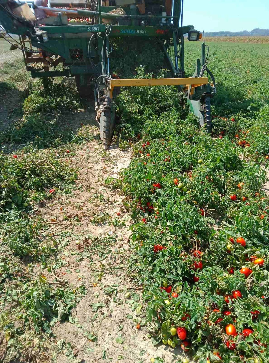 Udruga-Crleno-srce-9